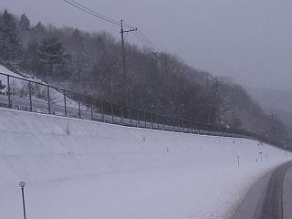vt