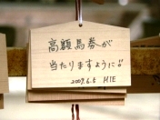 MIE̊Gn
