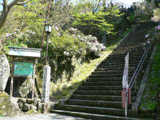 ORQo